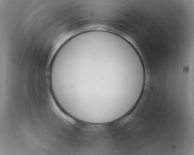 X0000111801090200909031224