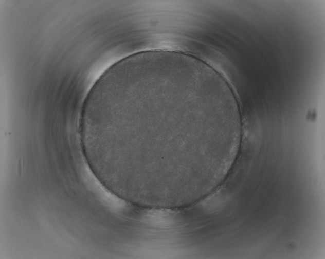 X0000111801091200909031224