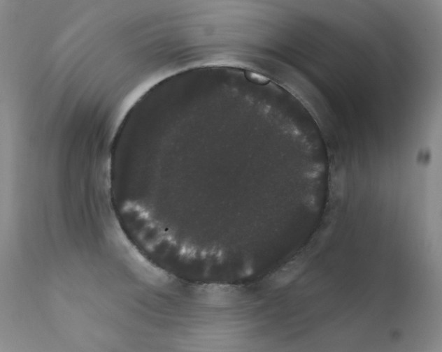X0000111801092200909031224