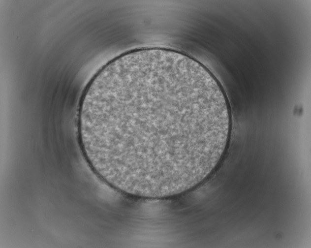 X0000111801093200909031224