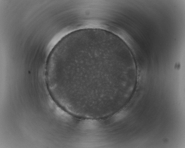 X0000111801094200909031223