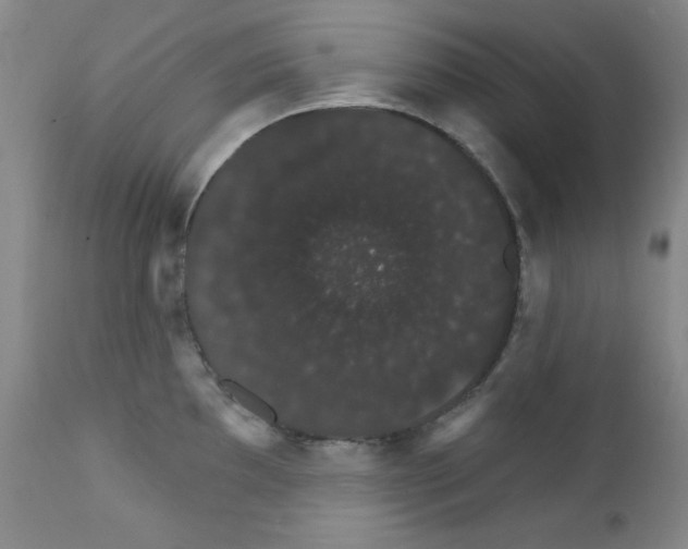 X0000111801097200909031223