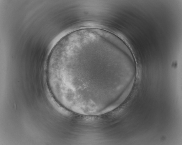 X0000111801098200909031223