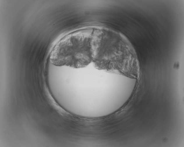 X0000111801099200909031223
