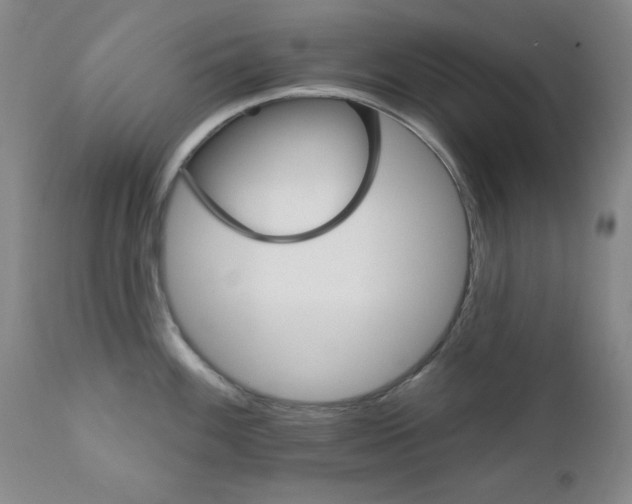 X0000111801100200909031223