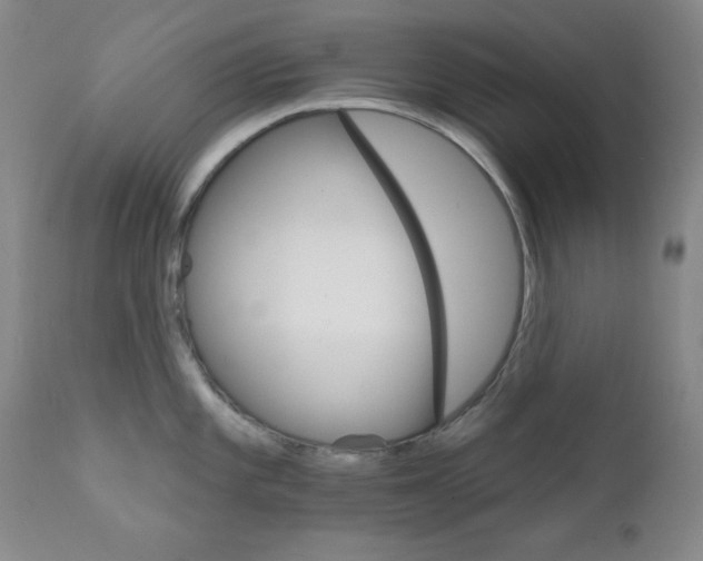X0000111801101200909031223