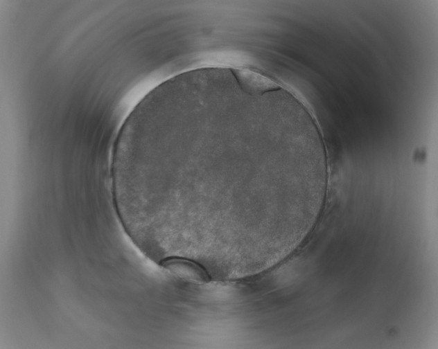 X0000111801103200909031223