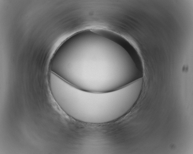 X0000111801104200909031223