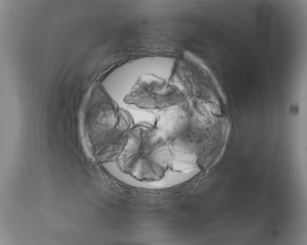 X0000111801105200909031223