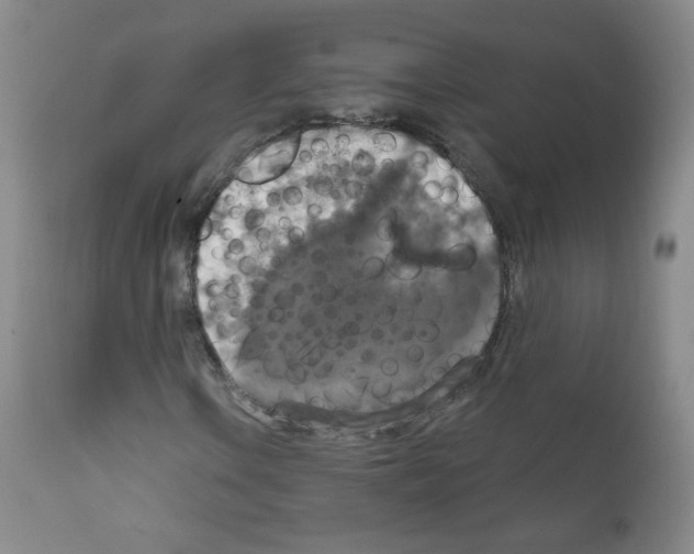 X0000111801106200909031223