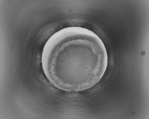 X0000111801108200909031223