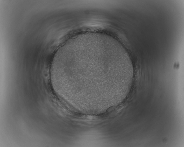 X0000111801109200909031223