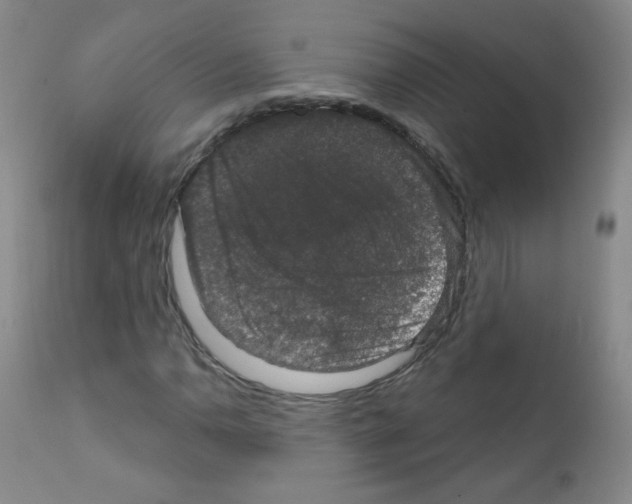X0000111801110200909031223
