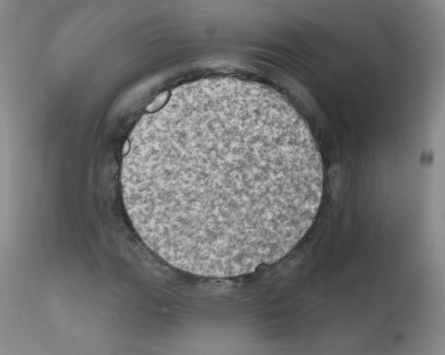 X0000111801111200909031223