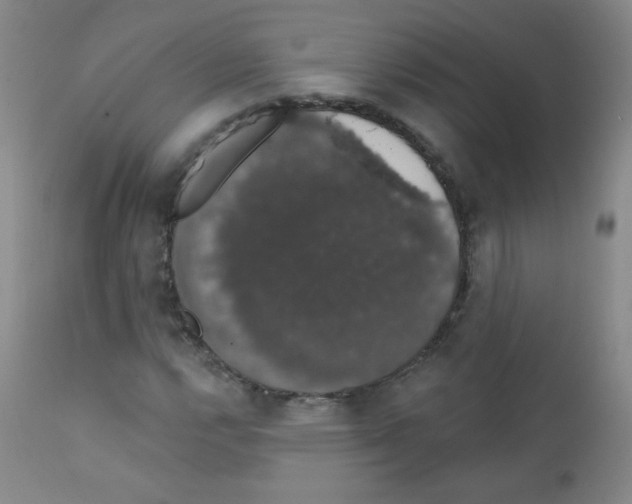 X0000111801112200909031223