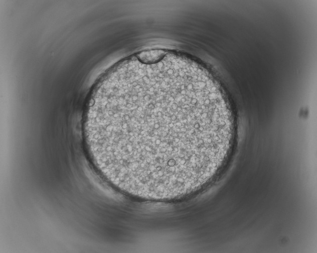X0000111801113200909031223