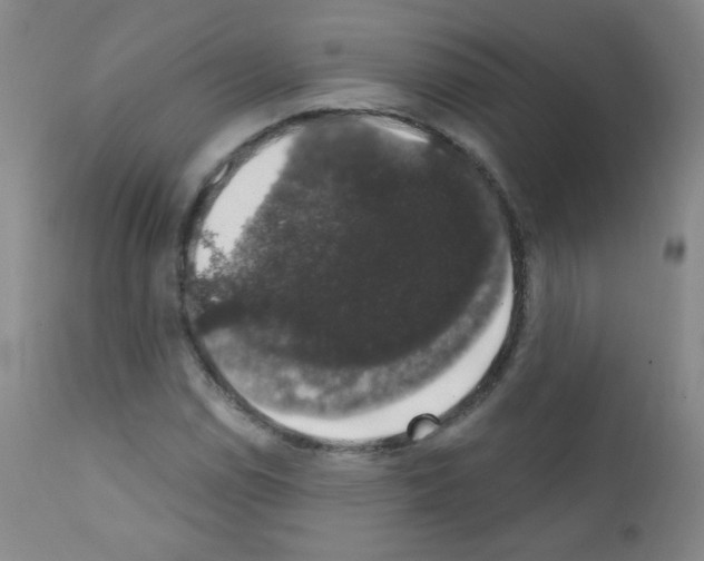 X0000111801114200909031223