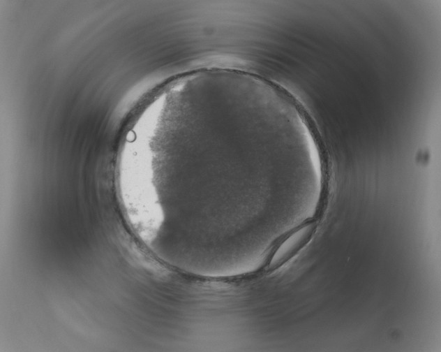 X0000111801115200909031223