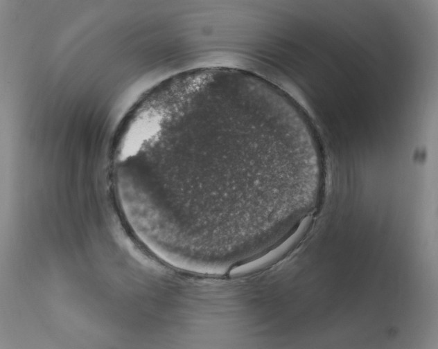 X0000111801116200909031223