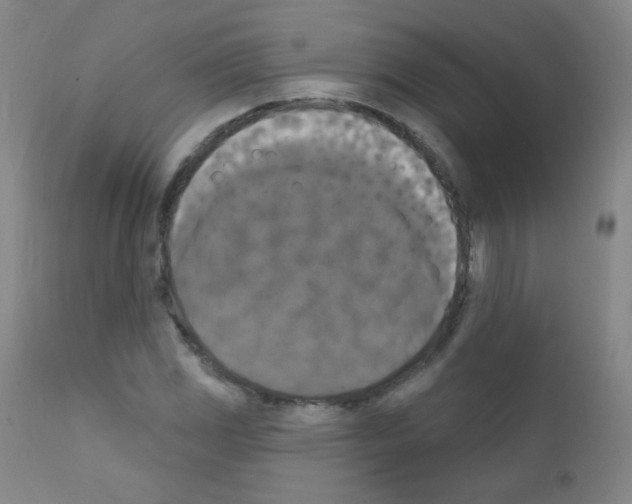X0000111801117200909031223