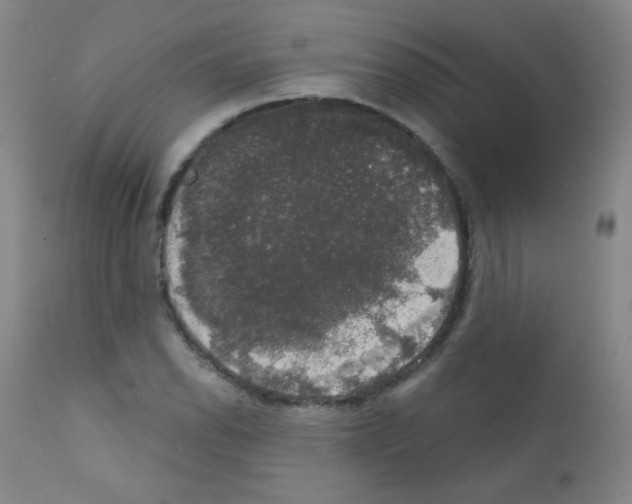 X0000111801118200909031223