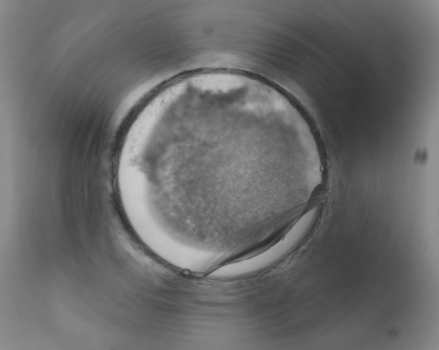 X0000111801120200909031223