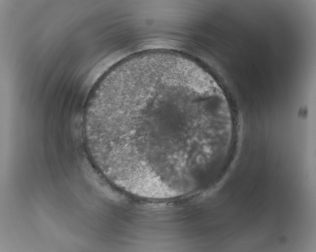 X0000111801121200909031223