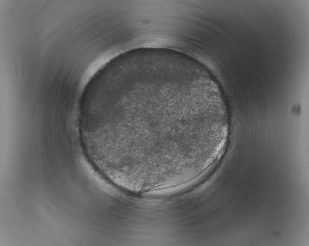 X0000111801122200909031223