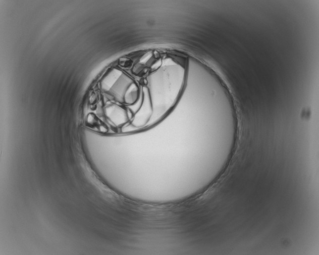 X0000111801124200909031223