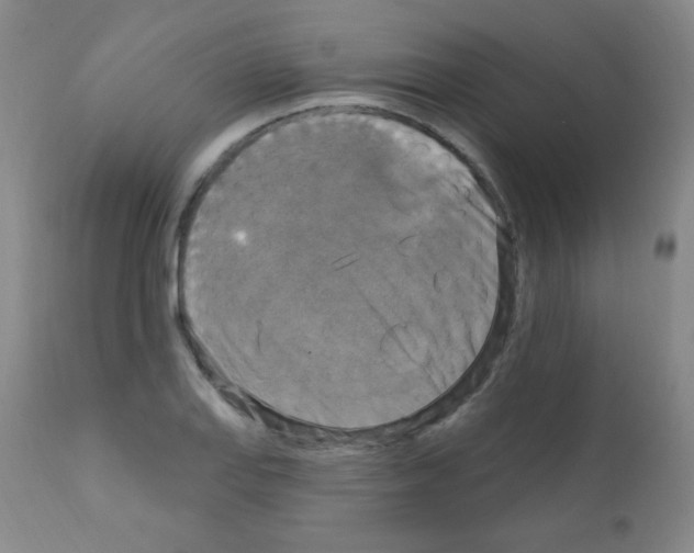 X0000111801127200909031223
