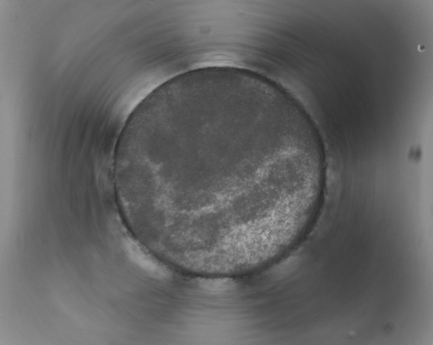 X0000111801129200909031223