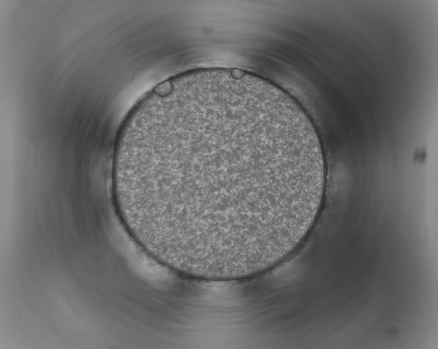X0000111801130200909031223