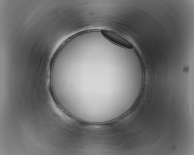 X0000111801132200909031223