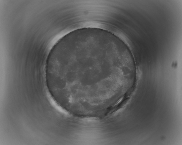 X0000111801133200909031223