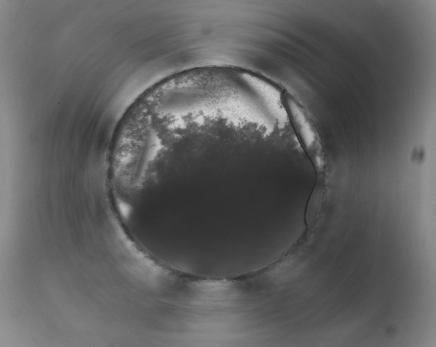 X0000111801134200909031223