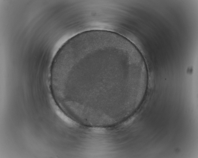 X0000111801136200909031223