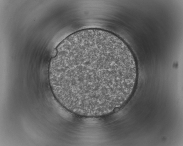 X0000111801137200909031223