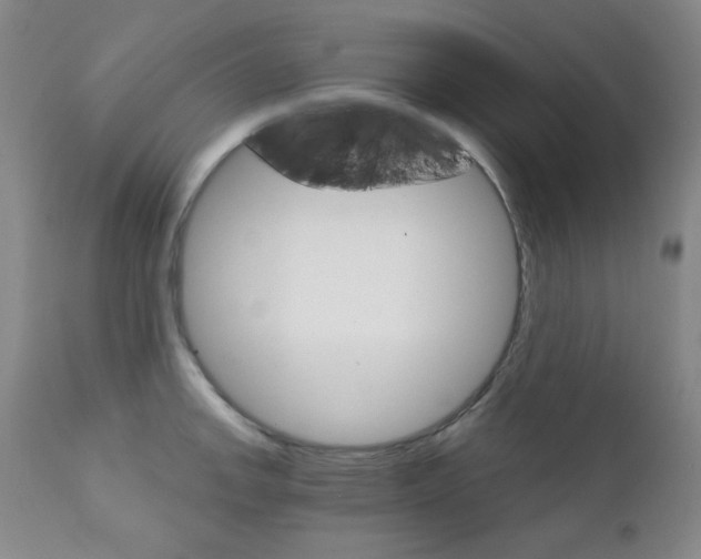 X0000111801142200909031223