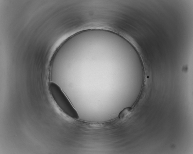 X0000111801144200909031223