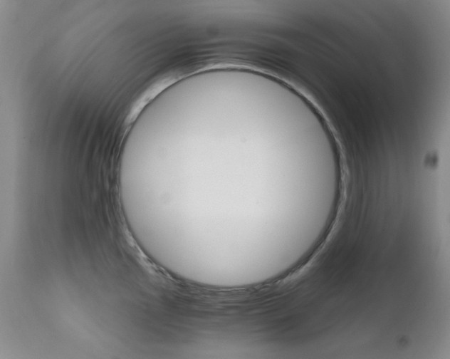 X0000111801145200909031223