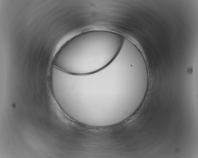 X0000111801146200909031223