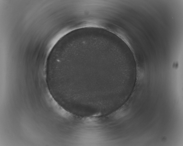 X0000111801148200909031223