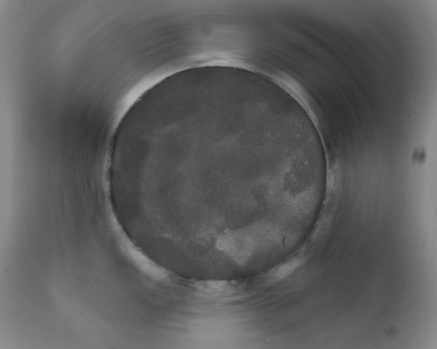 X0000111801149200909031223