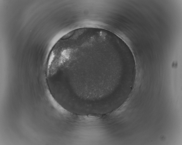 X0000111801152200909031223
