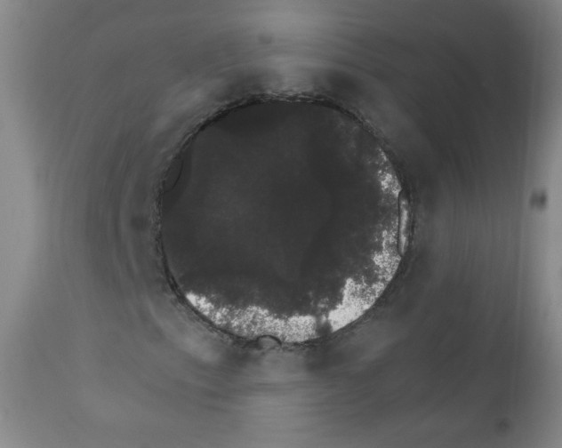 X0000111801153200909031223