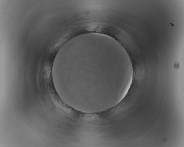 X0000111801154200909031223
