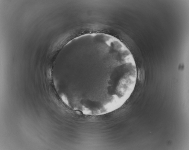 X0000111801155200909031223
