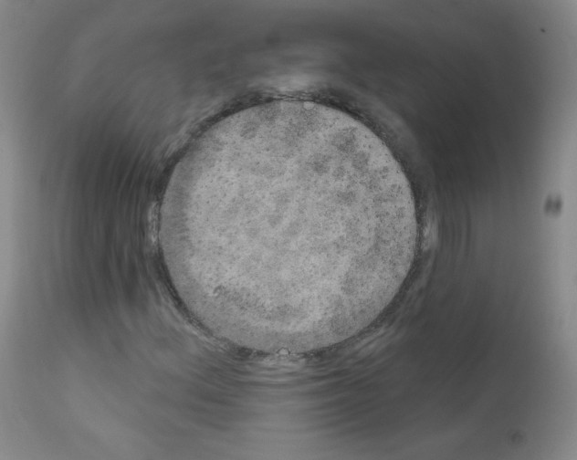 X0000111801156200909031223