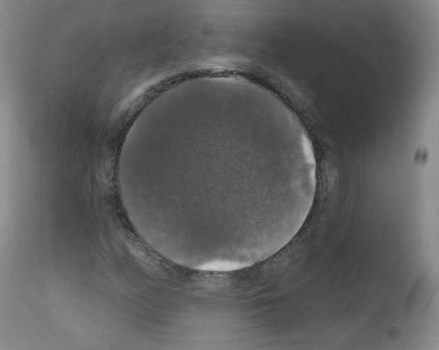 X0000111801158200909031223