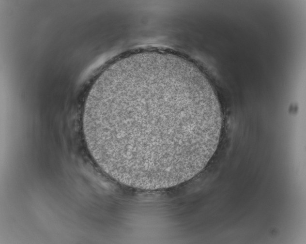X0000111801159200909031222